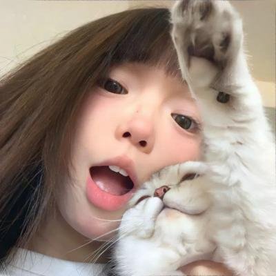 奈何寨主不好当
